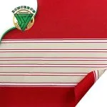 پارچه-برزنت-خطی-راه-راه-طرح-ZJ-N-310